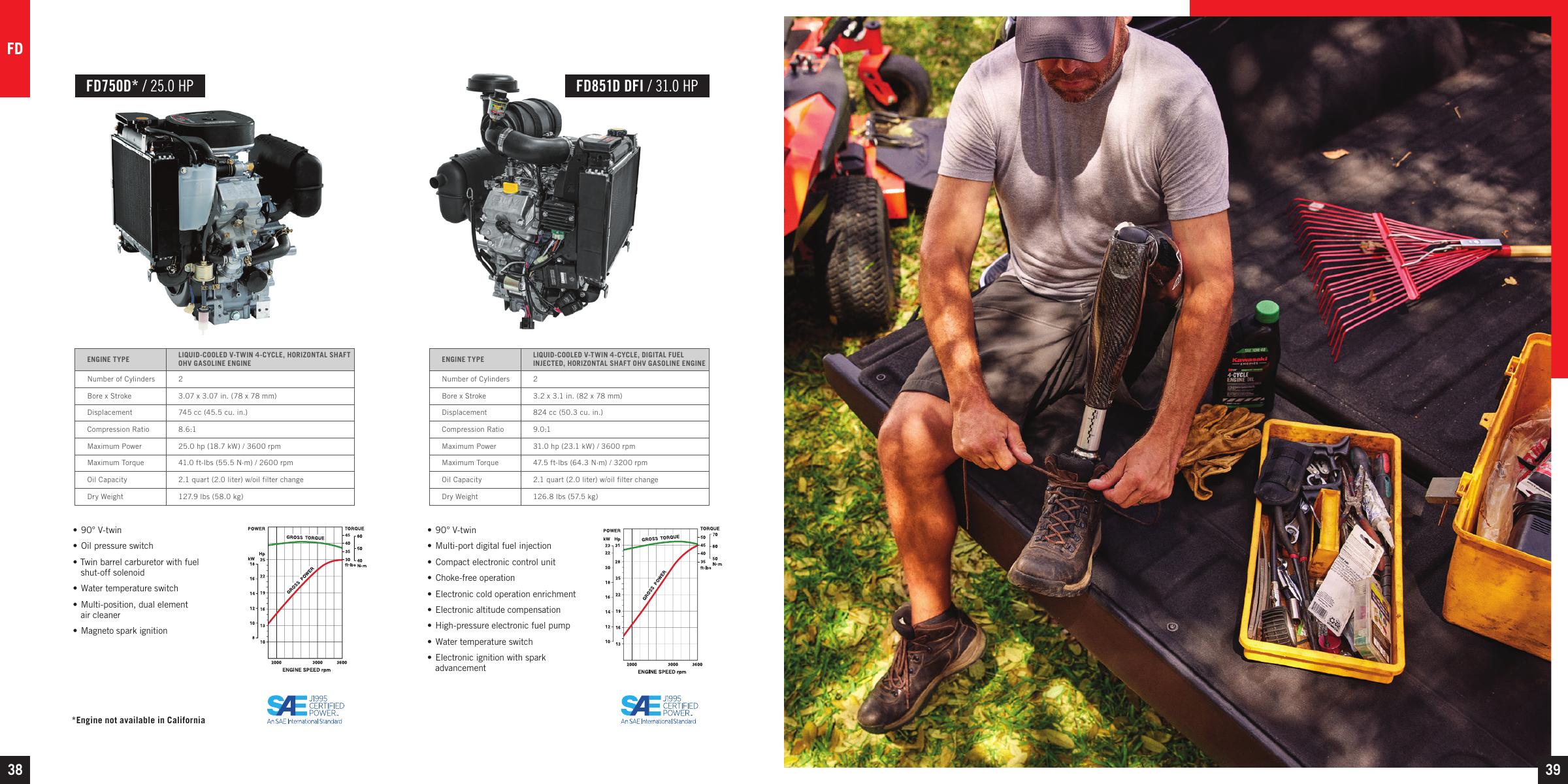 FD Series — catalog tables, features and performance curves
