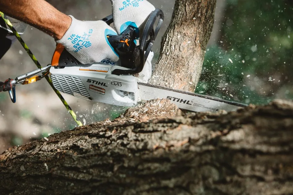 STIHL chainsaw cutting wood