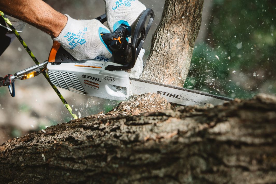 STIHL chainsaw cutting wood