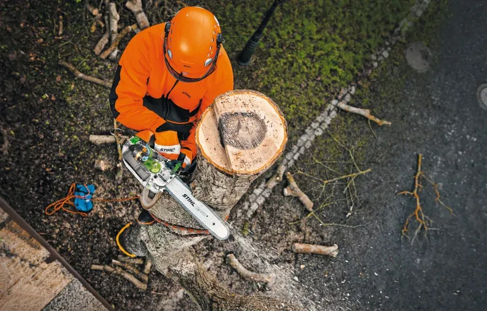 Arborist using a STIHL chainsaw